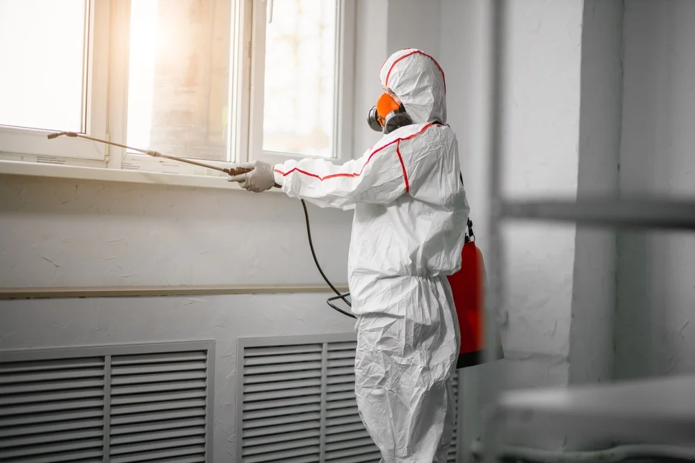 Professional mold remediation services in Grosse Ile, MI